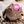 A pyramid shaped chunk of rough cut plant-based milk chocolate with smaller crumbled bits scattered on a wooden table. The words 'milk chocolate made with' in white written above the chocolate.  The word milk is written with an exclamation mark indicating plant-based. Overlapping the chocolate is a pink circular sticker label overlay with number 002 in the centre with the words Tigernut and Sunflower indicating the recipe of the powder that was used to make this chocolate.